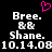 Pixelated text displays 'Bree. B& B Shane.' with date '10.14.08' and pink heart symbol above.