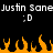 Pixelated text 'Justin Sane' repeats twice above two ':D' emoticons, with orange flames at the bottom on a black background.