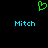 Green pixelated heart symbol above two instances of the word 'Mitch' in cyan text on a black background.