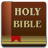Brown book cover with "HOLY BIBLE" text, red bookmark, and horizontal stripes at base; pixelated style with visible dithering.