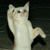 Two light-colored cats stand upright on dark background, each with one paw raised in a waving gesture.