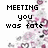 Pixelated text on a floral background with partial gray overlay, displaying phrases about fate and choice.