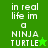 Green background with white pixelated text reading "in real life im a NINJA TURTLE" and a green star symbol, displayed in two vertical sections.