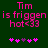 Green background with pink pixelated text reading "Tim is friggen hot<3" and a of five heart symbols below, where the third heart changes from purple to pink between frames