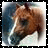 A 48x48 pixel buddy icon featuring a horse head on the left and text 'Horses Are 4 Life!' on the right, with a gradient background transitioning from purple to blue.