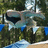 A pixelated image shows a diver mid-air above water with trees in the background, accompanied by blue text on a cyan background.
