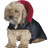 Pixelated dog wearing red hood and black cape on white background, with red displaying 'hi' text