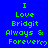 Blue background with green pixelated text reading "I Love Bridgit Always & Forever" and a heart symbol, repeated in a pattern with a gray rectangle in the bottom-right corner
