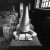 dunce-50x50