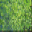 Animated sequence showing a character with red hair and white eyes in a green forest setting, transitioning from a full-body view to a close-up of the face.