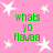 Pink background with white star shapes and green text reading 'whats yo flavaa' repeated four times in a