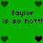 Green background with pixelated hearts and repeated text "Taylor is so hott!" in black font.