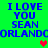 Green background with blue text reading "I LOVE YOU SEAN ORLANDO" repeated in four quadrants, each containing a heart symbol.
