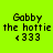 Pixelated text "Gobby the hottie <333" on bright green background with pink rectangular overlays shifting across frames.