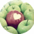 A circular icon with a green leafy border surrounding a central red fruit-like shape containing a white heart symbol.