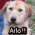 A dog's face appears in three with text overlays reading Arlo!!, He's my, and Puppy! against a grassy background
