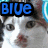 Blue text above a cat's head with varying facial expressions across four