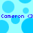 Pixelated blue circle pattern with repeated purple text "Cameron <3" on light blue background.