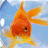 Pixelated orange fish with black eye swims against light blue background with white cloud-like shapes.