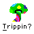Pixelated tree-shaped icon with green canopy, yellow center, and multicolored trunk, displayed above text reading 'Trippin?' on gray background.