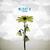 Animated contact sheet of four frames showing a sunflower, blue text