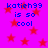 Pixelated text reads 'katieh99 is so cool' over a bright pink background with red stars, displayed in a of four identical