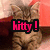 A cat with striped fur sits against a red and brown background, with pink text overlays reading 'kitty!', 'what does the kitty say?', and 'KITTY SAY MOOO' across different frames.