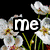 Four distinct display text over backgrounds: flowers, patterned fabric, cherries, and solid gray