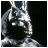 iconhell_napoleonfan1_donnie darko