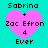 Four identical pixelated icons display pink hearts with text over cyan backgrounds, each showing 'Sabrina + Zac Efron 4 Ever' in black block letters.