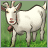 Pixelated image of a white goat with brown patches on its face and legs standing in green grass against a solid green background.