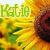 A sunflower with yellow petals and a dark brown center, featuring green text reading 'Hot' in the top-left corner.
