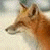 A static image of a red fox's head in profile against a light background, with green text reading 'Original Icons .com' on the right side.
