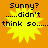 Yellow starburst graphic with black text on orange background, displaying 'Sunny? ....didn't think so....' in pixelated font.