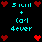 Pixelated text and heart symbols arranged in a on black background, with cyan text reading "Shani," "Carl," and "dever" alongside red hearts