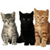 Three pixelated cats sit side-by-side against a white background, each with distinct fur colors and expressions.