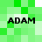Green pixelated background with four instances of the text 'ADAM' in black, arranged in a pattern