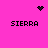 A bright pink background displays four 'SIERRA' text blocks arranged in a , with pixelated heart and starburst icons appearing at top-center and top-right positions