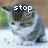A pixelated kitten with brown and white fur sits on a light surface, its head slightly tilted downward as text above it changes sequentially.