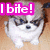 A small dog with brown and white fur appears in four , each showing a different pose while the text "I bite!" remains visible