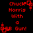 Red pixelated text and symbols on black background, displaying "Chuck Norris With Gun!" with animated square elements shifting position across frames.