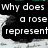 A split- image with text on the left and a rose illustration on the right, featuring pixelated details