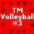 Red background with repeating black pixel clusters; white text "TM Volleyball Volleyball #3" appears in two identical horizontal