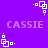 Purple background with repeating white pixelated square icons and light purple 'CASSIE' text in four quadrants.