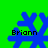 Blue snowflake-shaped icon with black text 'Briann' on green background, showing four distinct pixelated states.