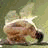 Animated sequence of a small, rounded, brown creature with a dark nose and glowing white wings against a muted green background, labeled 'FAIRY' in pixelated text.