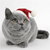 Holiday icons for AIM, MSN, MySpace and Yahoo