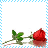 Four identical red rose images with green leaves and stems, each paired with distinct handwritten text above the flower on a white background bordered by light blue dots.