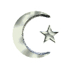 Silver crescent moon and five-pointed star symbols in various 3D orientations against a gray background.