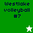 Green and white pixelated icon with "Westlake volleyball #7" text, featuring a white star on green background and green star on white background.